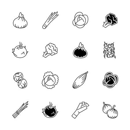 Vegetables icons. Vegetables and seasoning in outline style.のイラスト素材