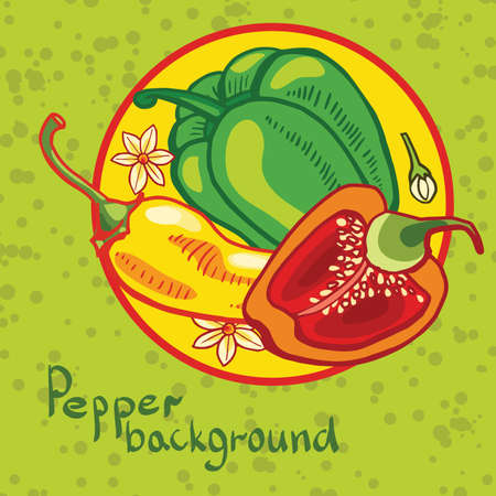 backgroundof colored bell peppersのイラスト素材