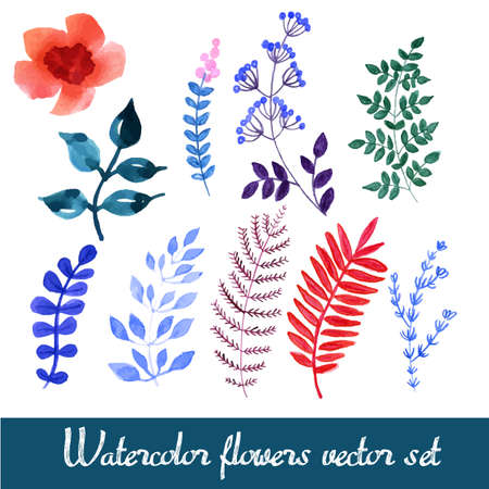 Set of beautiful watercolor flowersのイラスト素材