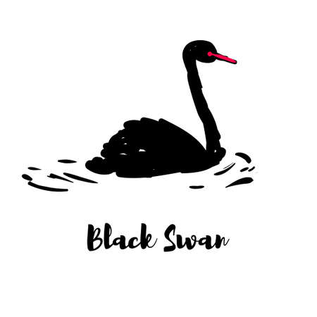 Silhouette of a black swan. One bird on the pondのイラスト素材
