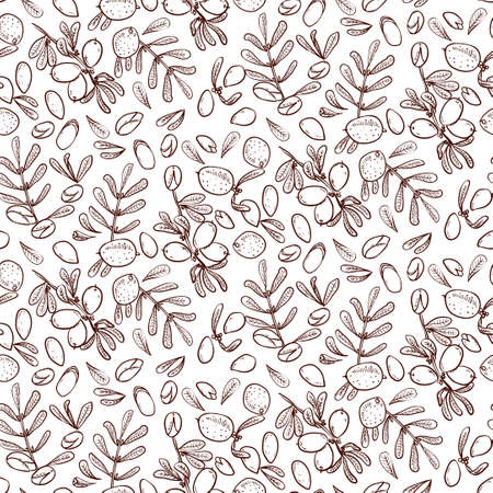 Seamless pattern branches, leaves, nuts, fruits, argan tree (ironwood). Suitable for packing Argan oil creams. Vector illustration of a hand drawn style.Texture for scrapbooking, wrapping paper, textiles.のイラスト素材