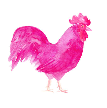 Rooster symbol 2017. Watercolor print .の写真素材