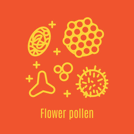 Pollen, a product of bees and beekeeping. A useful organic amino acid. Linear style. Vector illustrationのイラスト素材