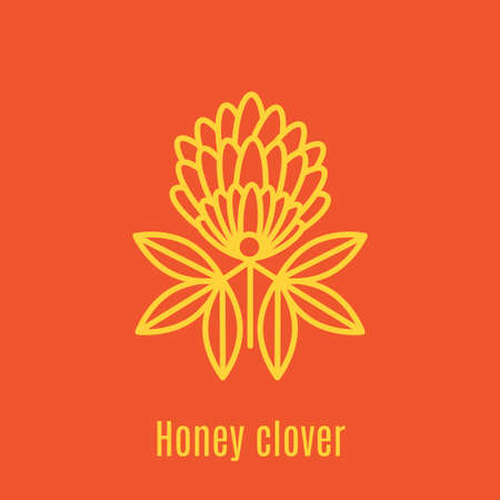 Vector illustration of thin line icon Honey clover, Melliferous for medicine, apitherapy, beekeeping products, cosmetics, soap. Linear symbolのイラスト素材