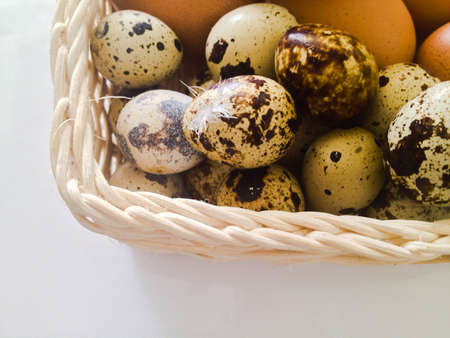 Basket of eggsの素材