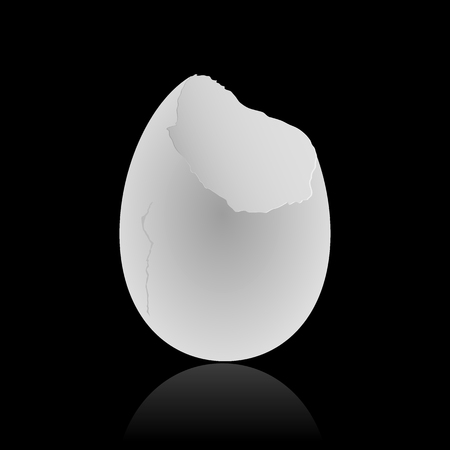 Broken egg on black. Vector illustrationのイラスト素材