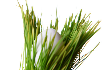 Easter egg in the grass on white