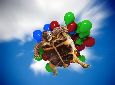 Funny turtle flying on balloons.の写真素材