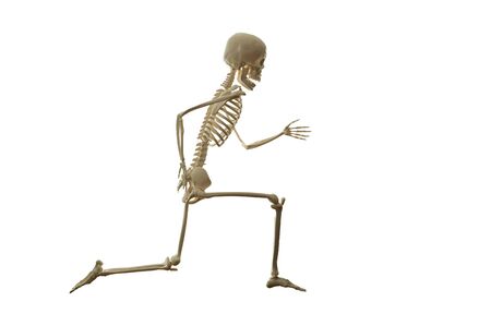 Skeleton running isolated on the white background.の写真素材