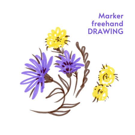 Flower with leave. Provence felt pen illustration. Violet and yellow Flowersの写真素材
