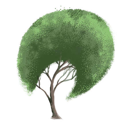 A green tree with a trunk and dense foliage. Summer tree on a white background. Natural object, silhouetteの写真素材