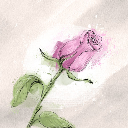 Stylish watercolor rose on a textured trendy beige background, hand-drawn illustrationの写真素材