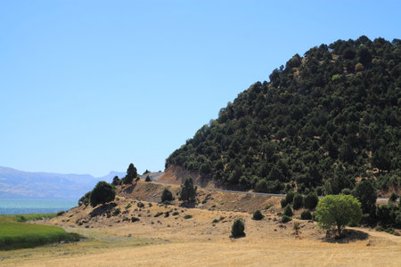 Summer trip on a hilly terrain of Turkey