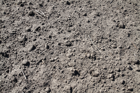 Dry soil humus farmland in central Russiaの写真素材