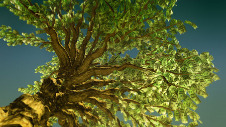 money tree low angle
