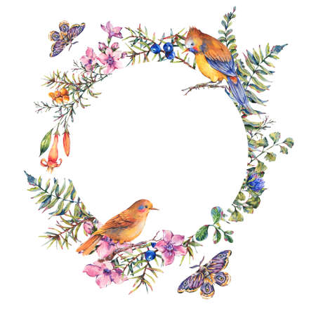 Watercolor vintage floral forest round frame with birds, fir branches, berries, moth, flowers and branches. Natural wreath isolated on white background, design invitationの写真素材