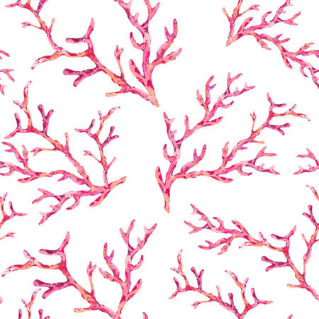 Watercolor seamless pattern with underwater red coral on white background. Natural nautical texture. Sea illustratuon.の写真素材