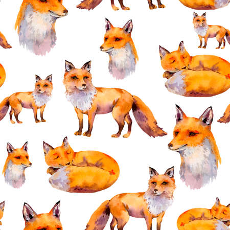 Watercolor woodland foxes seamless pattern, portrait fox, sleeping fox, Natural texture on white background. Watercolour animals.の写真素材