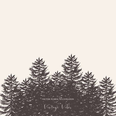 Vector natural forest set of evegreen trees, Monochrome tree collection, Woodland design elements.のイラスト素材
