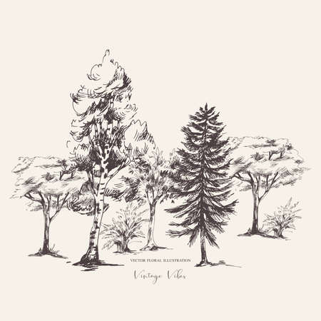 Vector natural set of monochrome trees, vintage collection, Woodland design elements.のイラスト素材