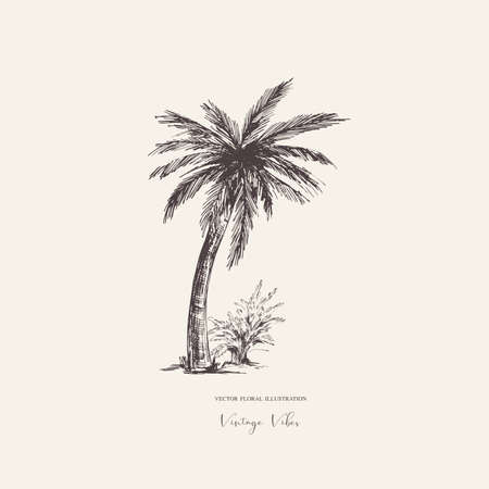 Vector vintage monochrome palm greeting card. Summer design elements, tree collectionのイラスト素材