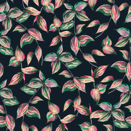 Watercolor tropical seamless pattern with fern leaves and tradescantia twigs. Botanical natural floral texture on black background. Hand painted design wallpaper.の写真素材