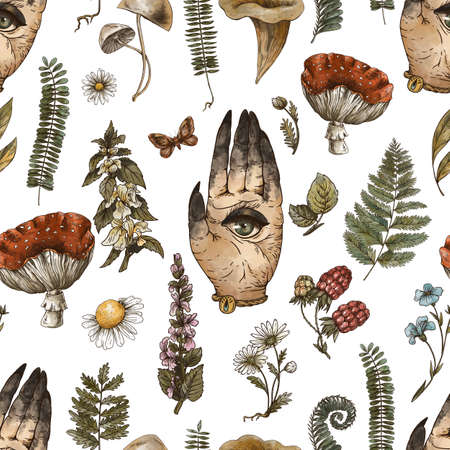 Woodland treasures seamless pattern, green witch hand with all seeing eye, Amanita mushroom, fern, forest plants baner. Vintage witchcraft texture.の写真素材