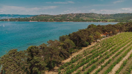 Slovenia wine road. Travel Europe.の写真素材