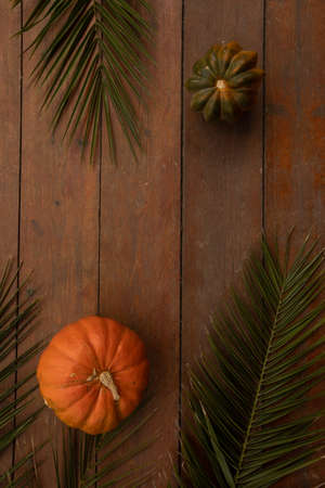 Pumpkin on a wooden backgroundの写真素材