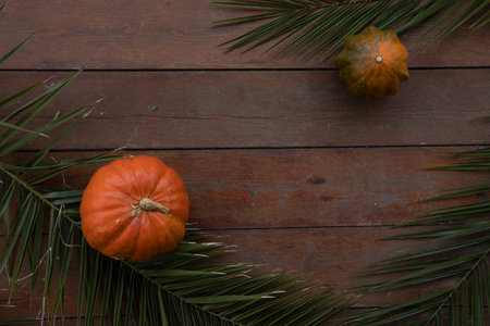 Pumpkin on a wooden backgroundの写真素材