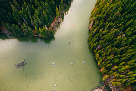 Lake ina pine tree forest with small boats seen from a drone