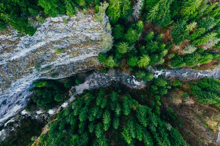 Creek winding through cliffs and forests seen from a droneの写真素材
