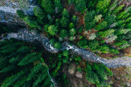 Creek winding through cliffs and forests seen from a droneの写真素材