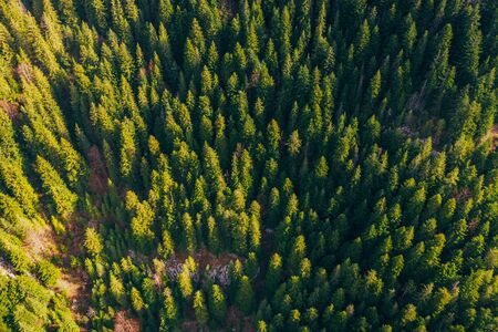 Bicaz gorge seen from a droneの写真素材