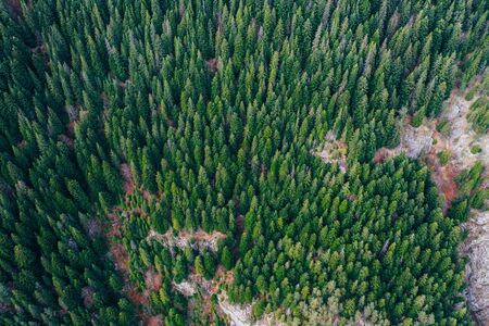 Bicaz gorge seen from a droneの写真素材