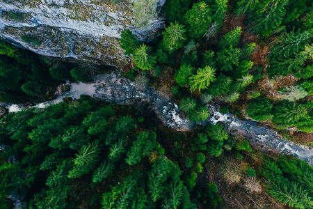 Creek winding through cliffs and forests seen from a droneの写真素材