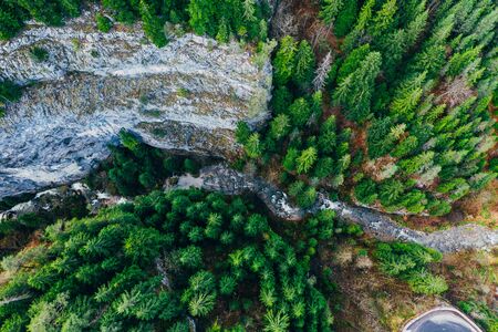 Creek winding through cliffs and forests seen from a droneの写真素材