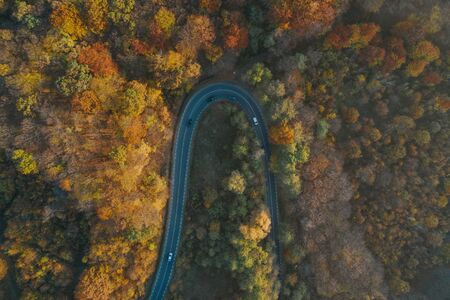 Drone view of a forest and a serpentine road in autumn with colorful treesの写真素材