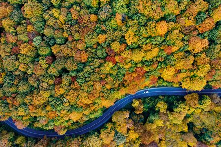 Drone view of a forest and a serpentine road in autumn with colorful treesの写真素材