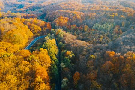 Colorful trees of autumn seen from a drone.の写真素材