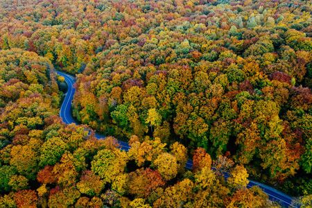 Drone view of a forest and a serpentine road in autumn with colorful treesの写真素材