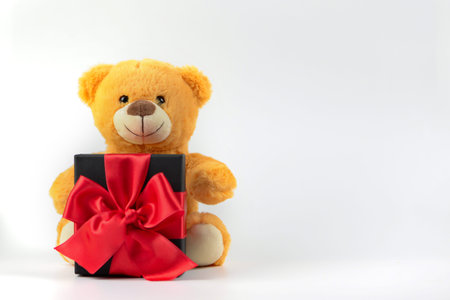 Teddy bear and gift box isolated on white background with copy space