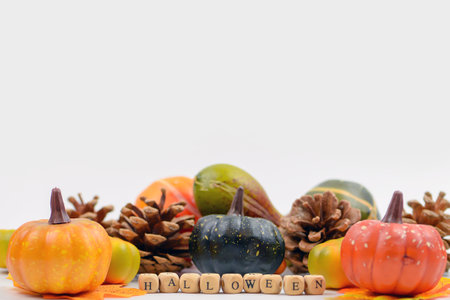 Autumn still life with pumpkins and pine cones on a white backgroundの写真素材
