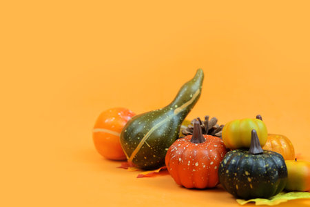 Colorful pumpkins on orange background with copy space for text.の写真素材