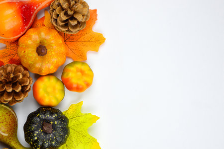 Autumn still life with pumpkins, leaves and cones on white backgroundの写真素材