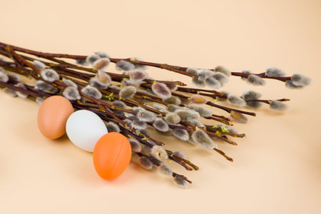 Eggs and willow branches on a beige background, Easter concept. High quality photo