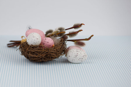 Pastel colored eggs in nest with willow on table with blue tablecloth. High quality photoの写真素材