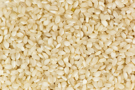 A CloseUp View of Raw White Sesame Seeds That Are Perfectly Suitable for Various Culinary Usesの写真素材