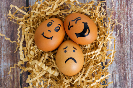 Emotional Eggs in a Nest Fun and Playful Expressions for Creative and Cheerful Artwork