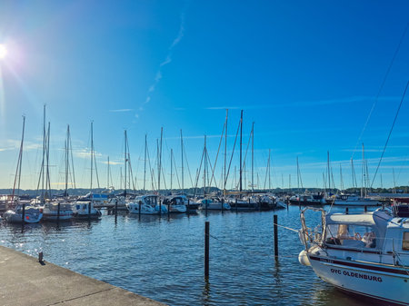 A stunning and serene view of a marina filled with various sailboats basking in the warm sunlight